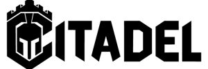 logo 12
