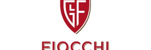 logo 20