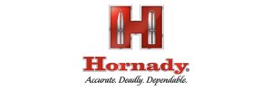 logo 29