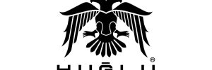 logo 31