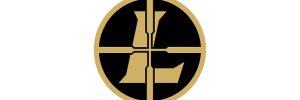 logo 35